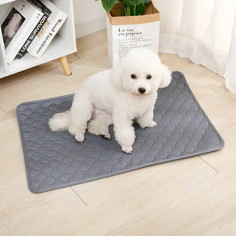 Dog Pee Pad Blanket Reusable Absorbent Diaper Washable Puppy Training Pad Pet Bed Urine Mat for Pet Car Seat Cover Pet Supplies