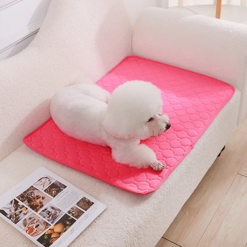 Dog Pee Pad Blanket Reusable Absorbent Diaper Washable Puppy Training Pad Pet Bed Urine Mat for Pet Car Seat Cover Pet Supplies